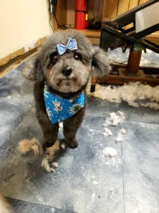 20201203 150725 capture copy