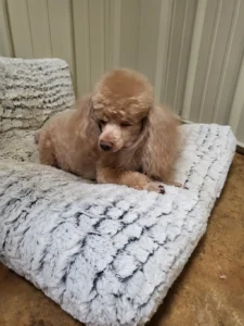 20231005 152358 copy