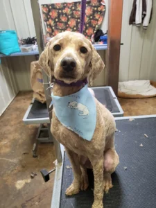 20251204 113432 copy