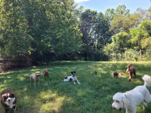 resized 20251001 141241