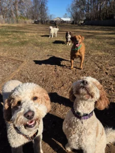 resized 20251201 112318