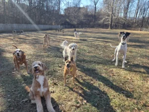 resized 20251216 104032