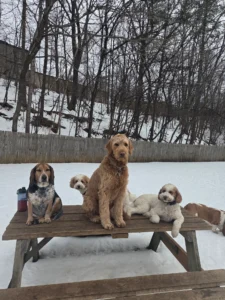 resized 20260203 151942 copy