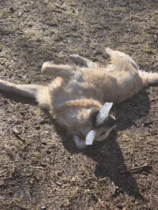 resized 20260216 105910 copy