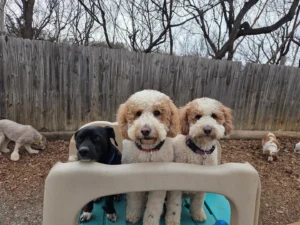 resized 20260224 145720 copy