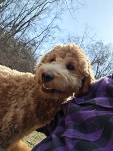 resized 20260225 132933