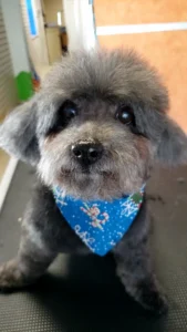 videocapture 20201203 160321